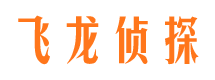 淮上侦探公司